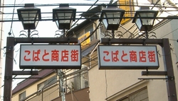 a-kobato.jpg
