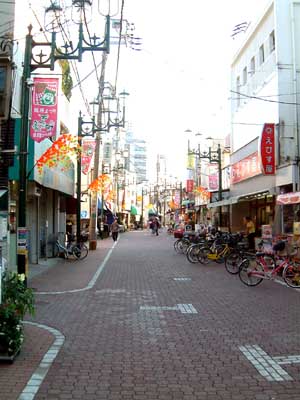 0442-1.jpg