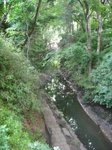 0659-3.jpg