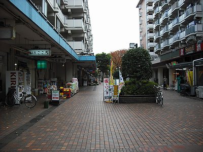 板橋区 光が丘ゆりの木商店会 赤塚新町三丁目 東京の商店街を歩こう