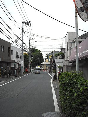 0973-1.jpg