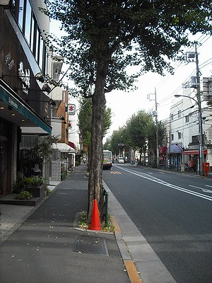 1202-1.jpg