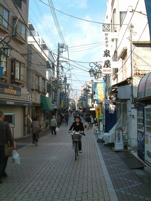 jujo-fuzimi.jpg